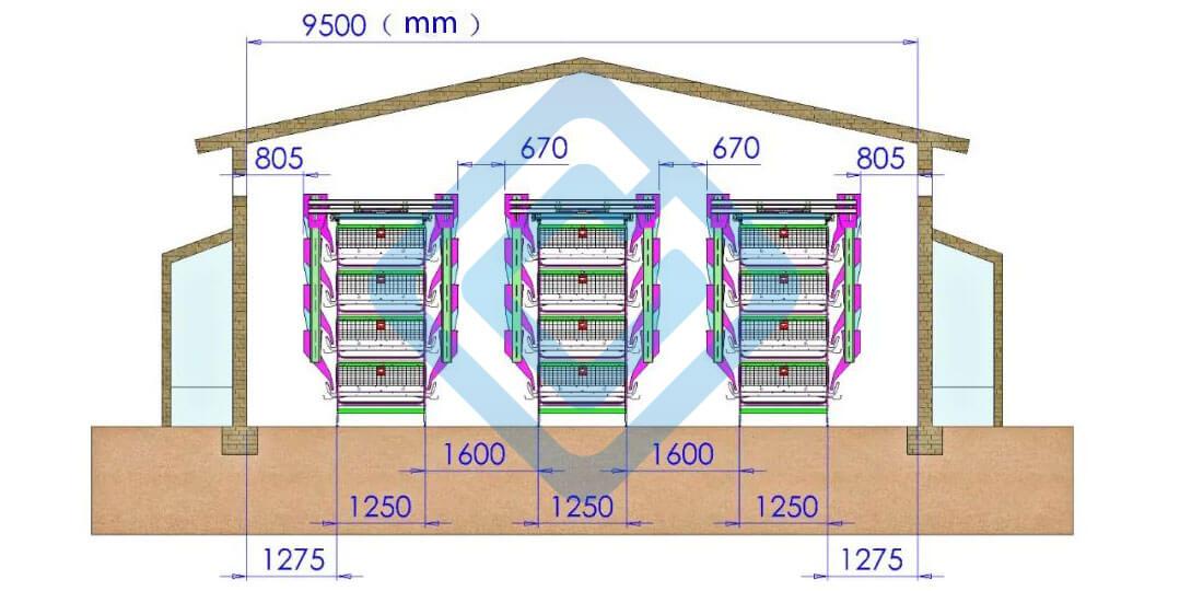 10,000 chicken house layout