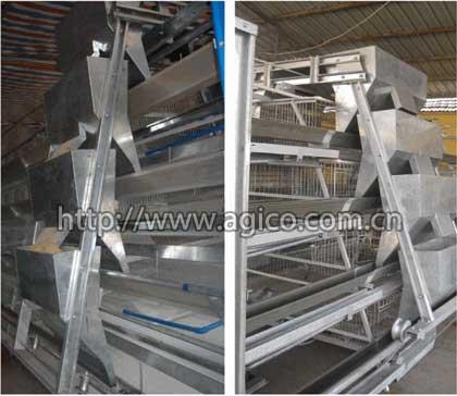 Cross cage feeding machine