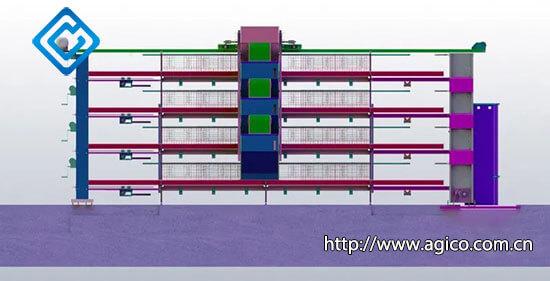 Modern Chicken Farm Design