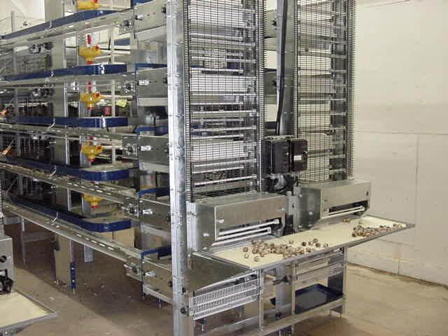 Quail Cage system