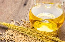 Rice bran oil