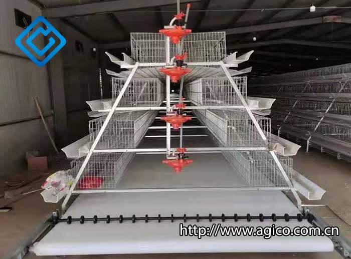 Essential Poultry Farm Equipment List