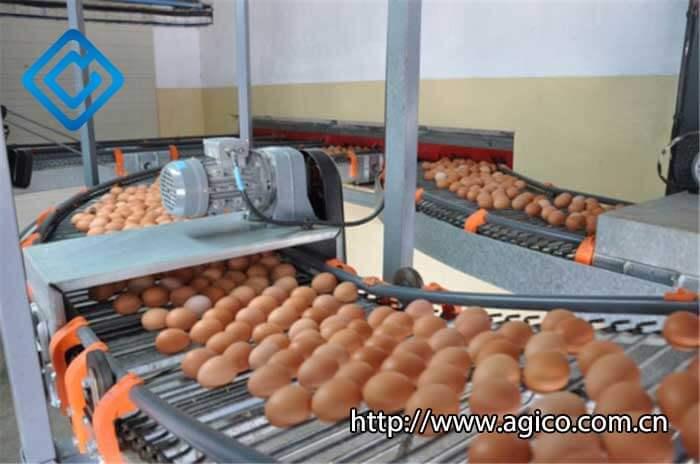 Egg Collection Equipment