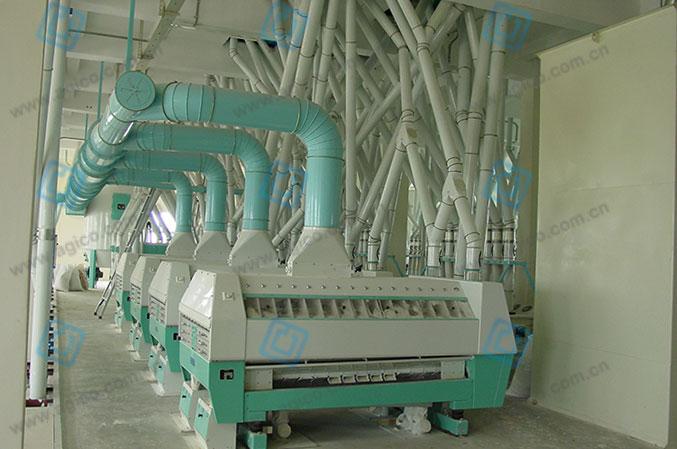 Wheat purifier